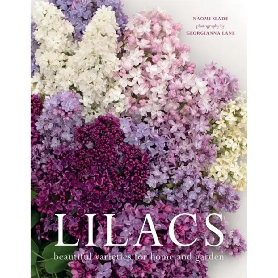 Jewelry + Accessories Gibbs Smith Home Decor | Lilacs